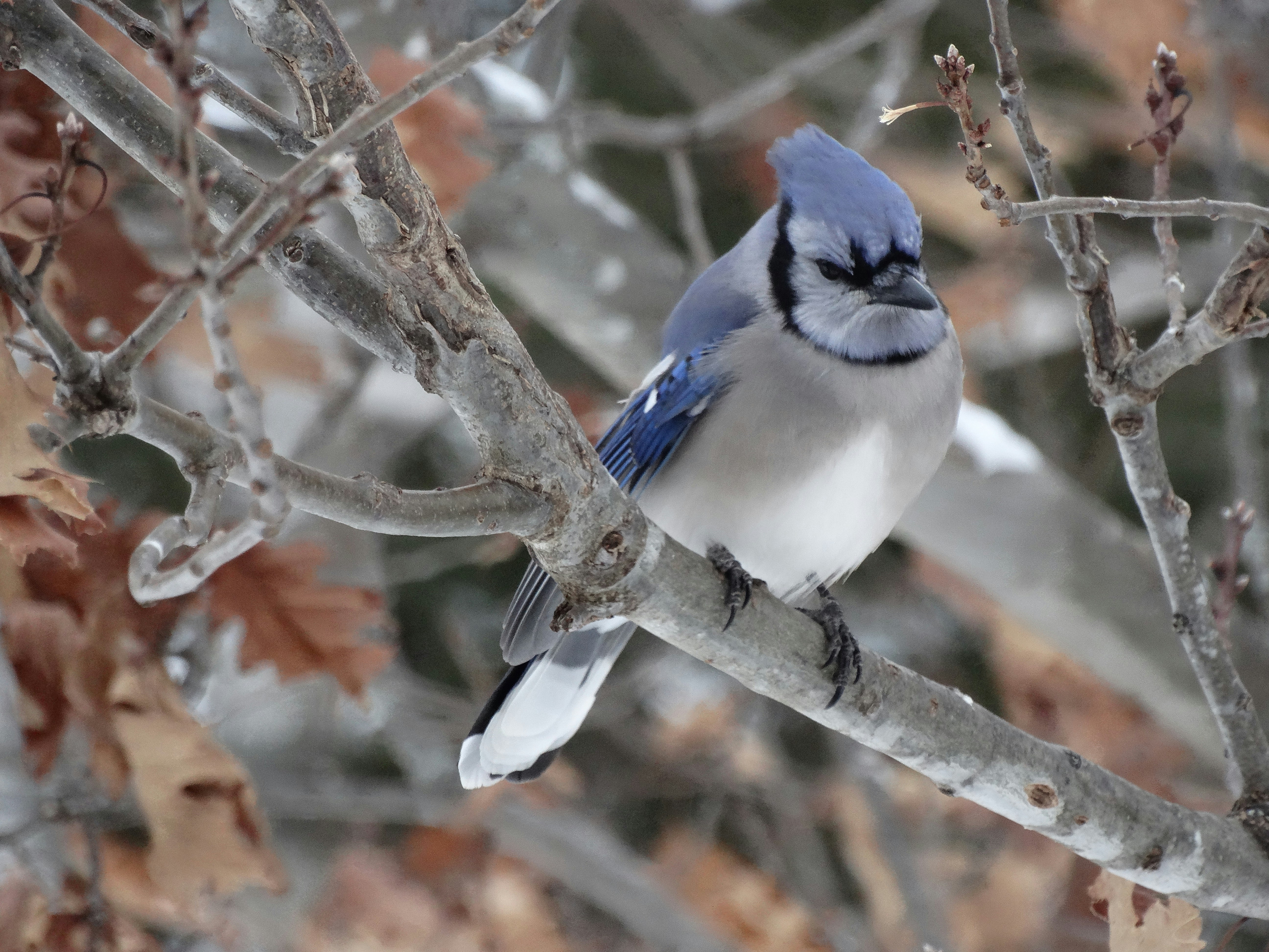 Photo by lismott2023
