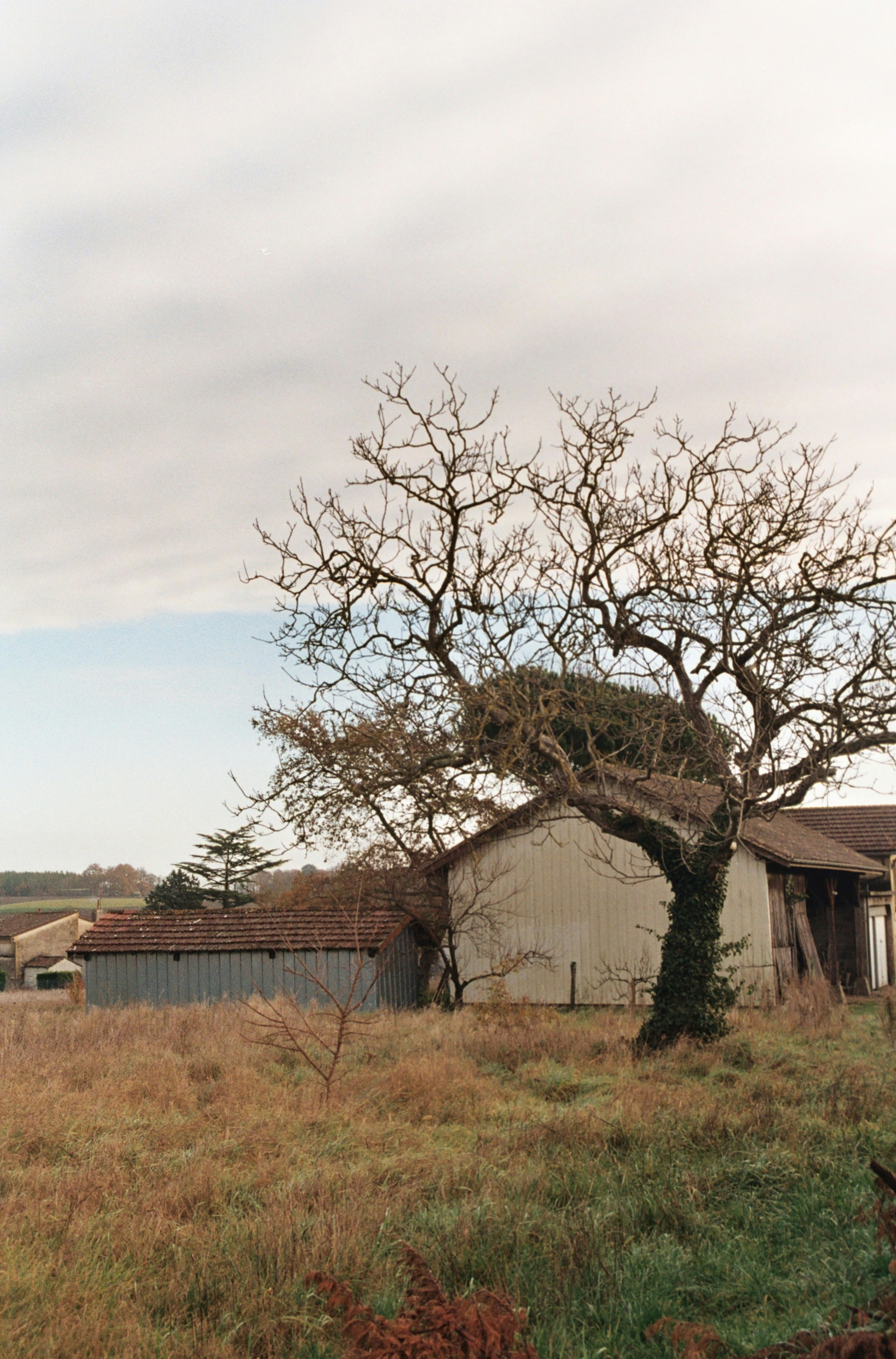 Photo by makewithjames