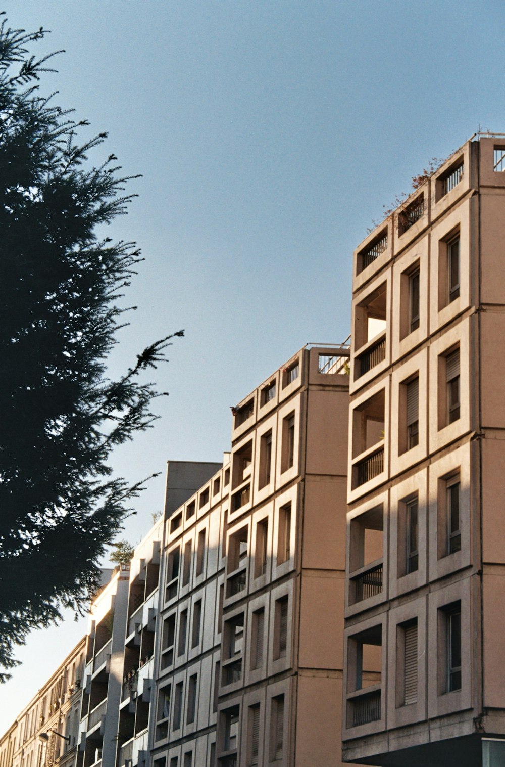 a tall building with lots of windows next to a tree