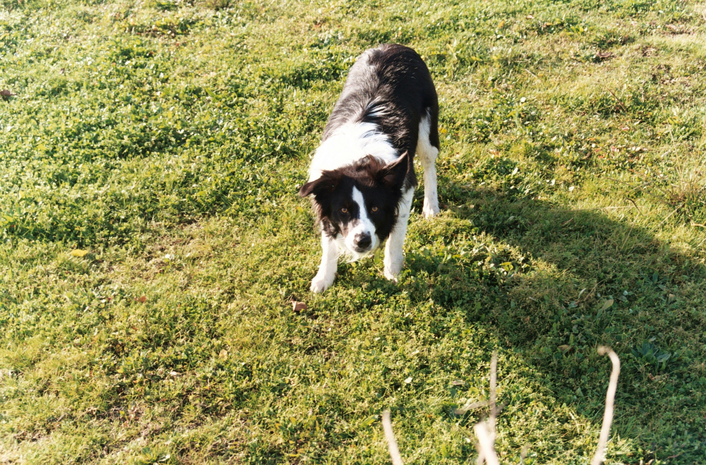 Photo by makewithjames