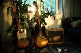 Two electric guitars are standing on stands in front of a window. One guitar is a solid-body Telecaster-style, and the other is a hollow-body with f-holes. Behind the guitars, several green houseplants are visible. On the right side, there is a guitar amplifier and two guitar pedals on the floor. The setting appears to be a cozy, well-lit room with a soft couch and cushions in the background.