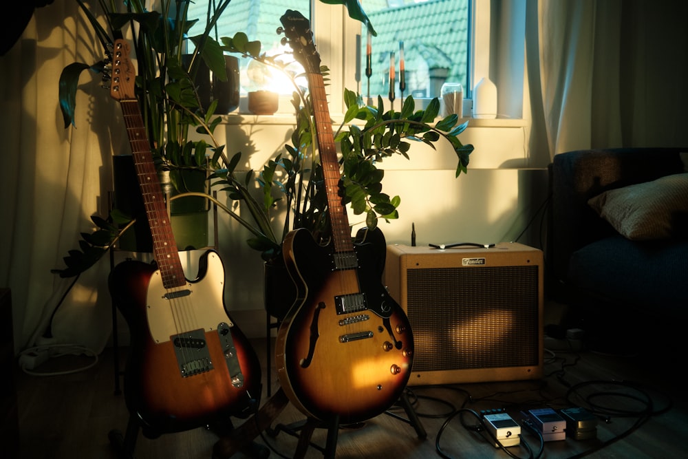 a couple of guitars sitting next to a plant