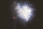 Bright fireworks burst in the night sky, emitting light and smoke in various patterns. The dark background contrasts with the luminous glow of the fireworks, creating an explosive display.