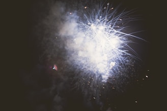 Bright fireworks burst in the night sky, emitting light and smoke in various patterns. The dark background contrasts with the luminous glow of the fireworks, creating an explosive display.