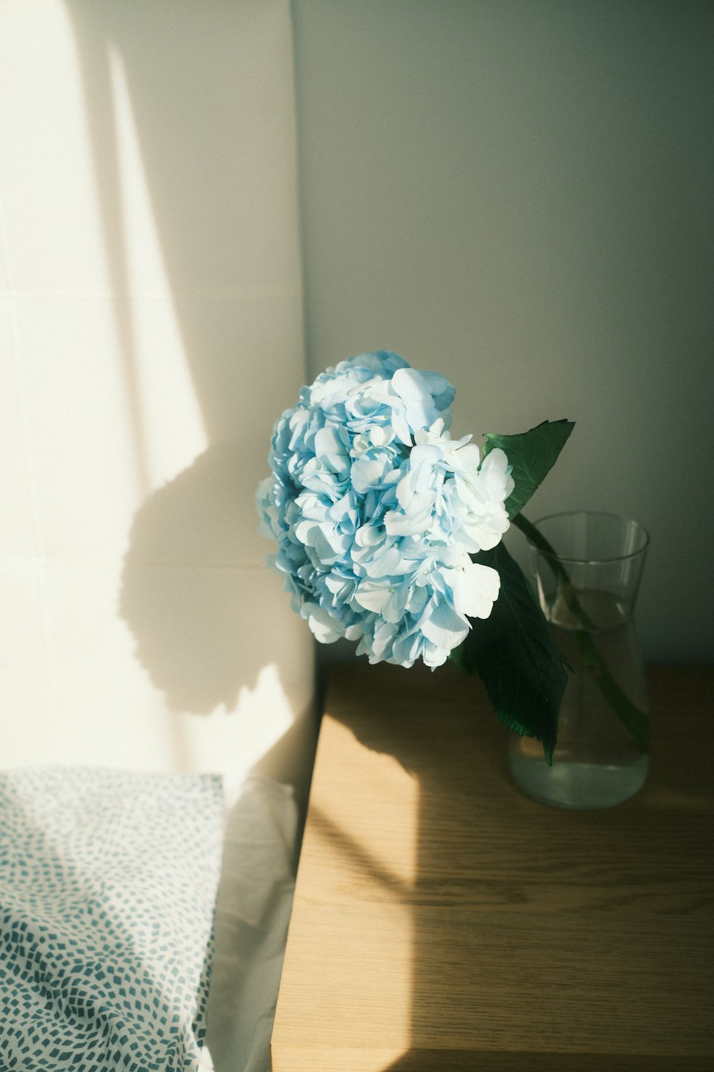 a blue flower in a glass vase on a table