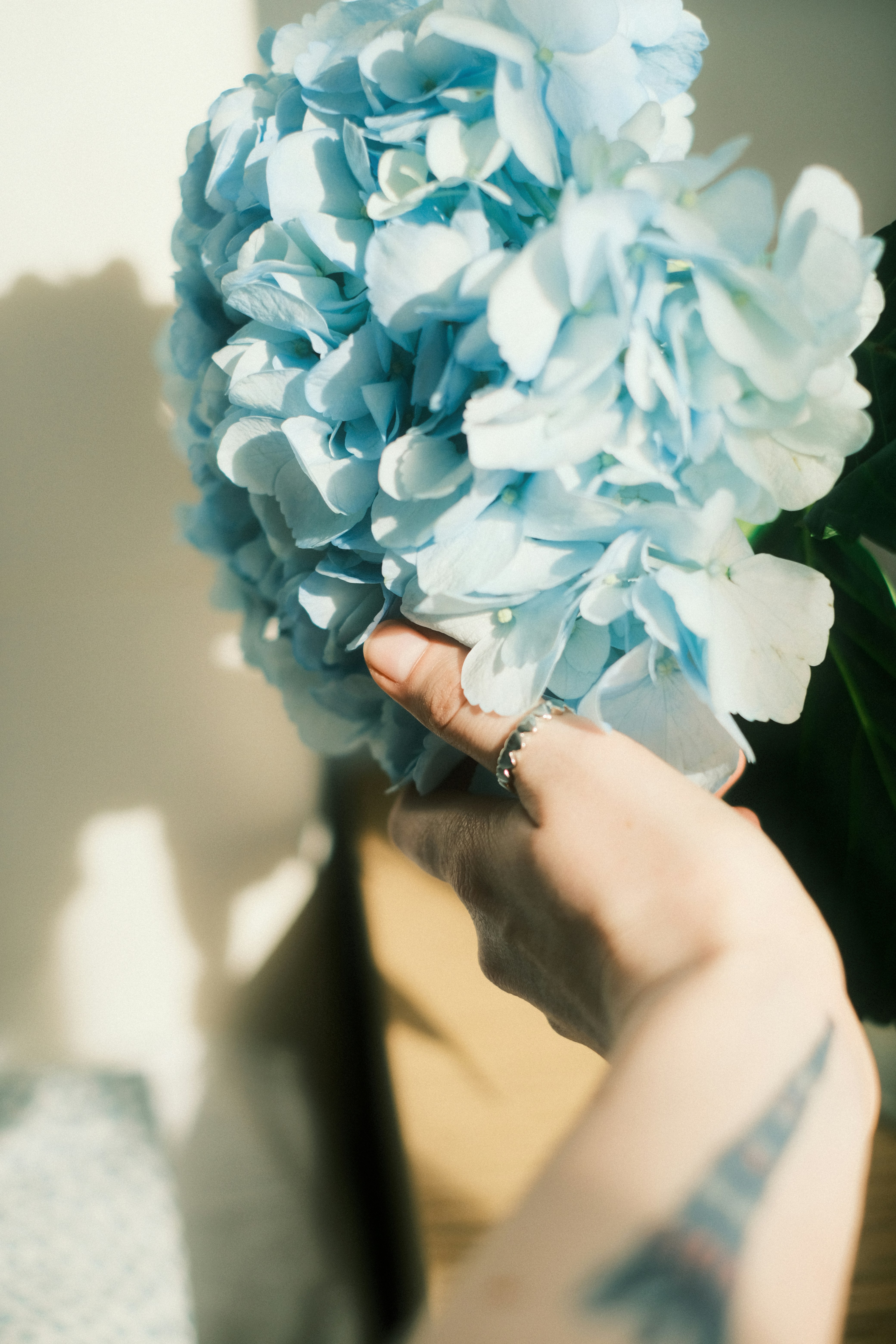 Photo by briday