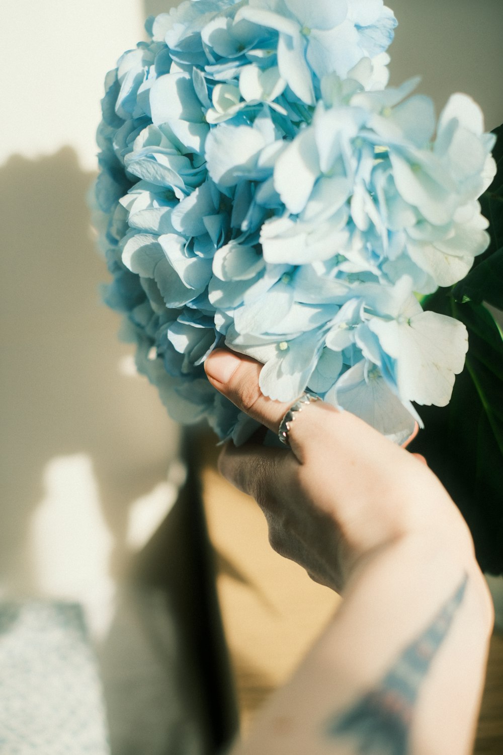 a person holding a bouquet of blue flowers