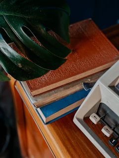 A styled vignette with a wood decor trunk topped with a small plant and vintage books.