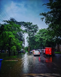 A flooded street with cars and people under umbrellas, surrounded by lush green trees under a cloudy sky.