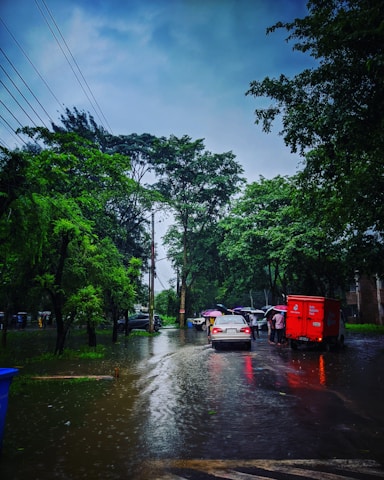 A flooded street with cars and people under umbrellas, surrounded by lush green trees under a cloudy sky.
