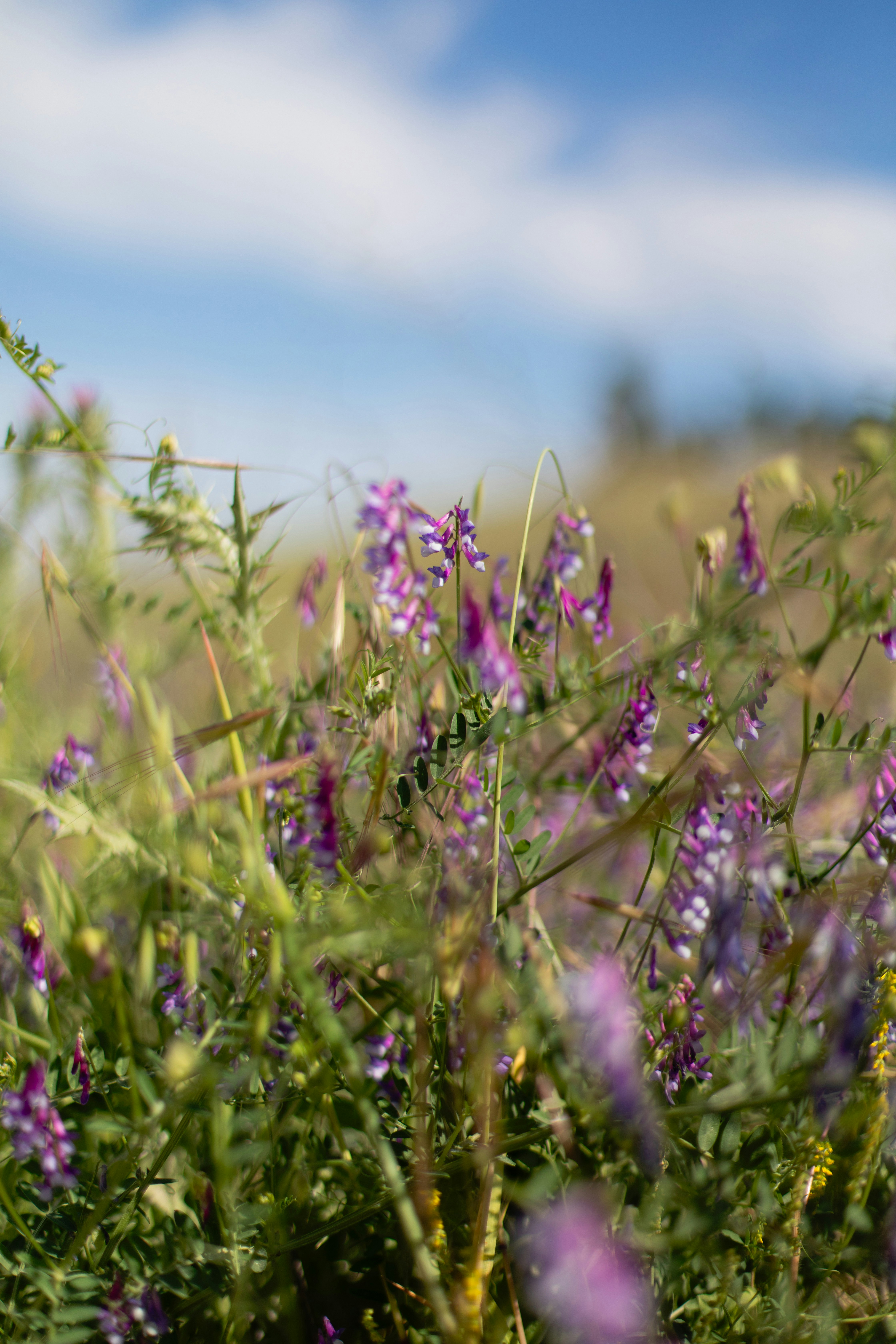 Photo by sixteenmilesout