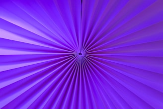 a close up view of a purple background