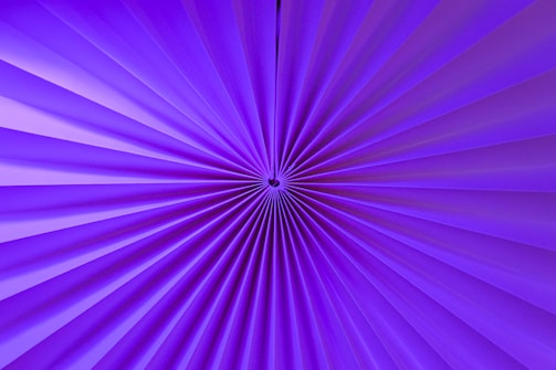 a close up view of a purple background