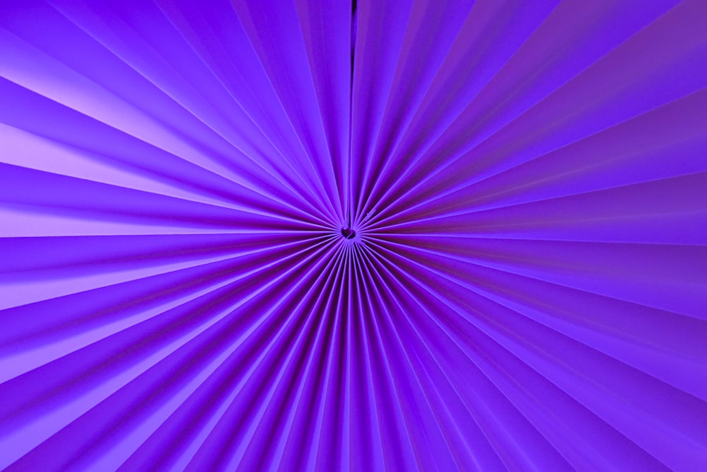 a close up view of a purple background