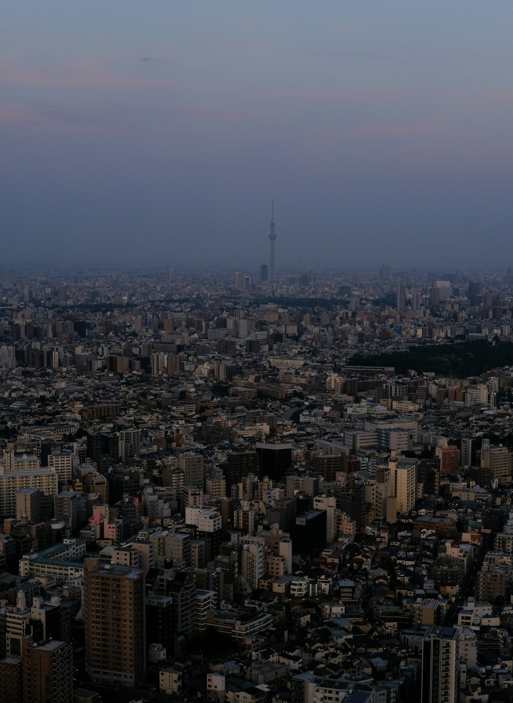 a view of a city from a tall building