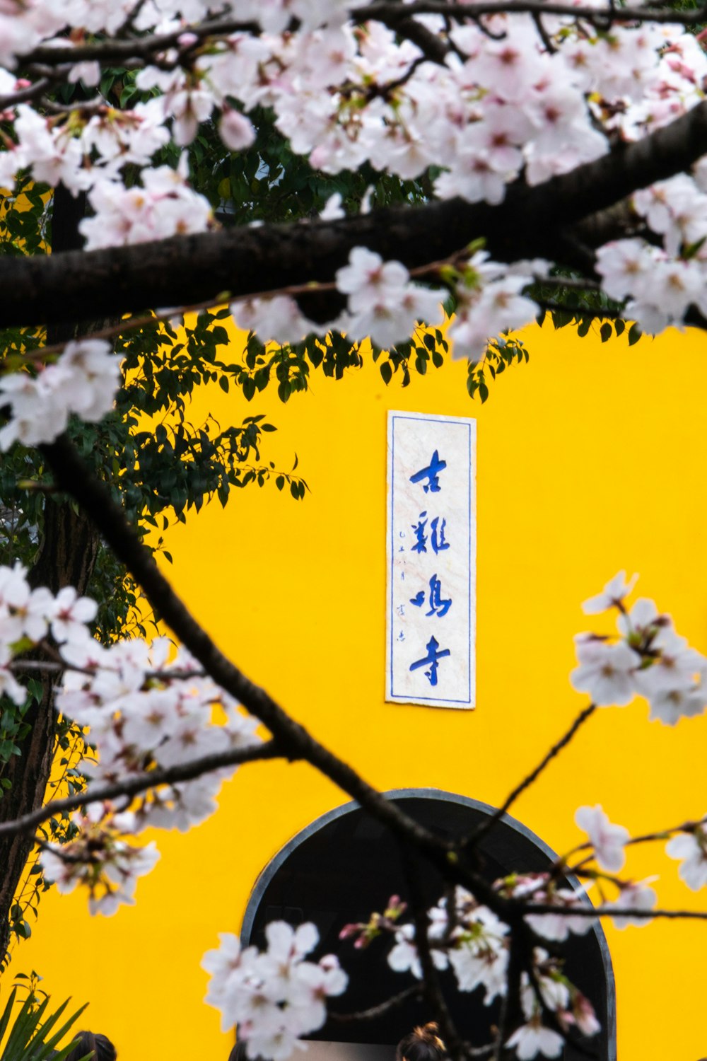 a yellow building with white flowers on it