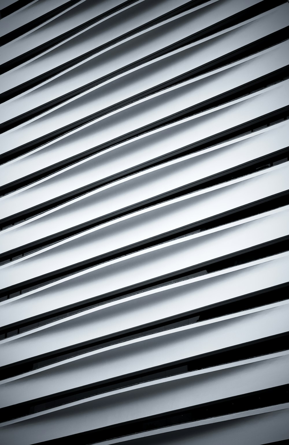 ein Schwarz-Weiß-Foto der Jalousien eines Fensters