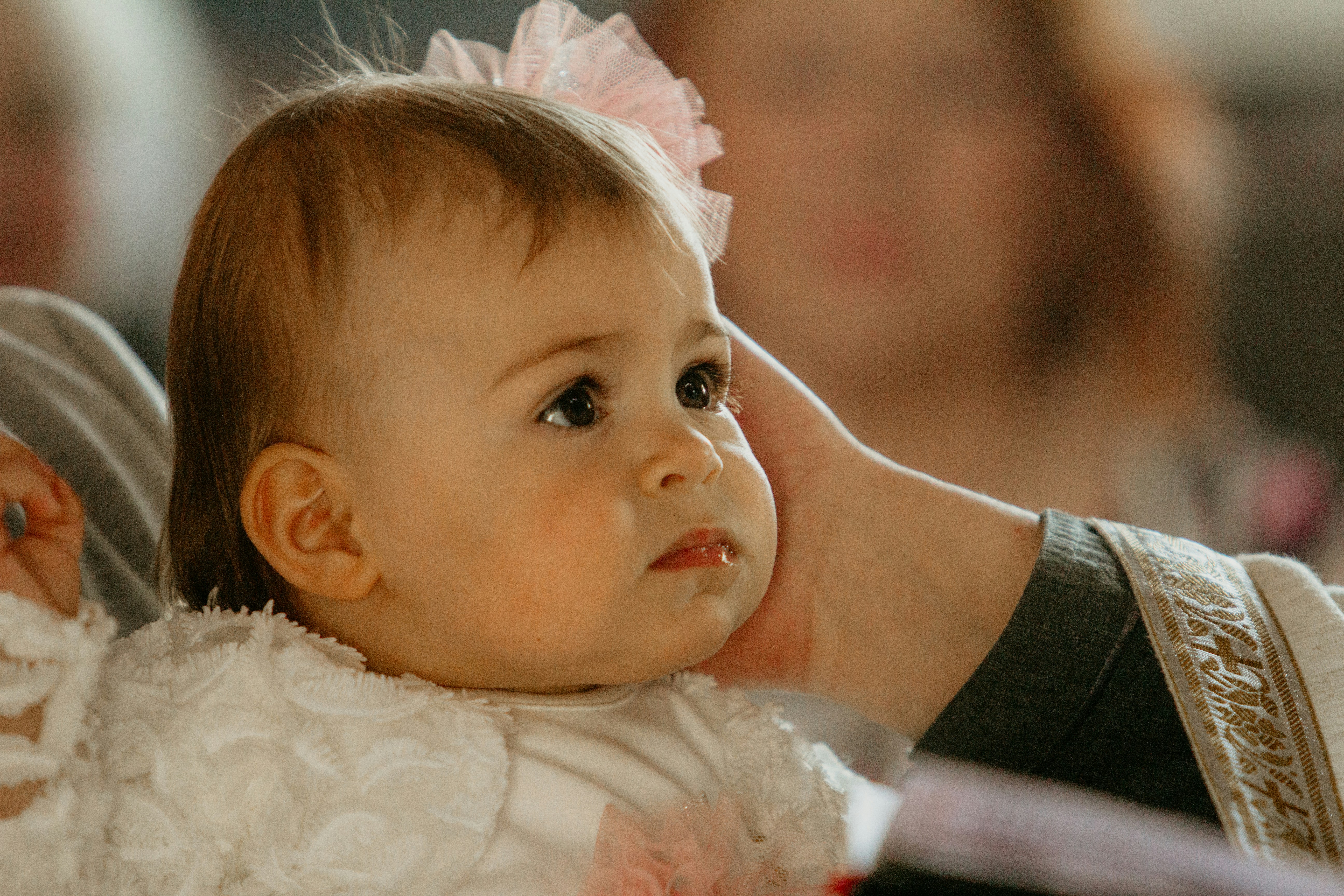 Photo by tamaragovedarov