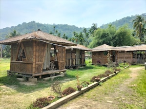 Traditional bamboo huts with thatched roofs are situated in a lush, green landscape. The background features rolling hills covered with dense foliage and palm trees. Small pots with plants line a pathway, framed by grassy terrain.