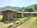 Traditional bamboo huts with thatched roofs are situated in a lush, green landscape. The background features rolling hills covered with dense foliage and palm trees. Small pots with plants line a pathway, framed by grassy terrain.