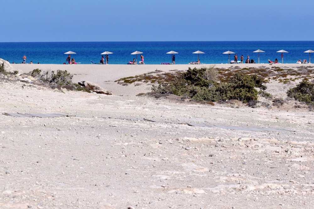 a sandy beach with a bunch of umbrellas on top of it