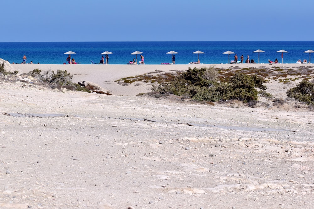 una spiaggia di sabbia con un mucchio di ombrelloni in cima
