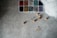 A textured gray surface is scattered with a variety of crafting or organizational supplies. There is a plastic container divided into sections, each holding paper clips or hook-like fasteners in different colors including red, orange, green, yellow, silver, teal, purple, and black. Nearby, several wooden beads and metal clips are spread across the surface. A fluffy white material is partially visible on one side of the image.