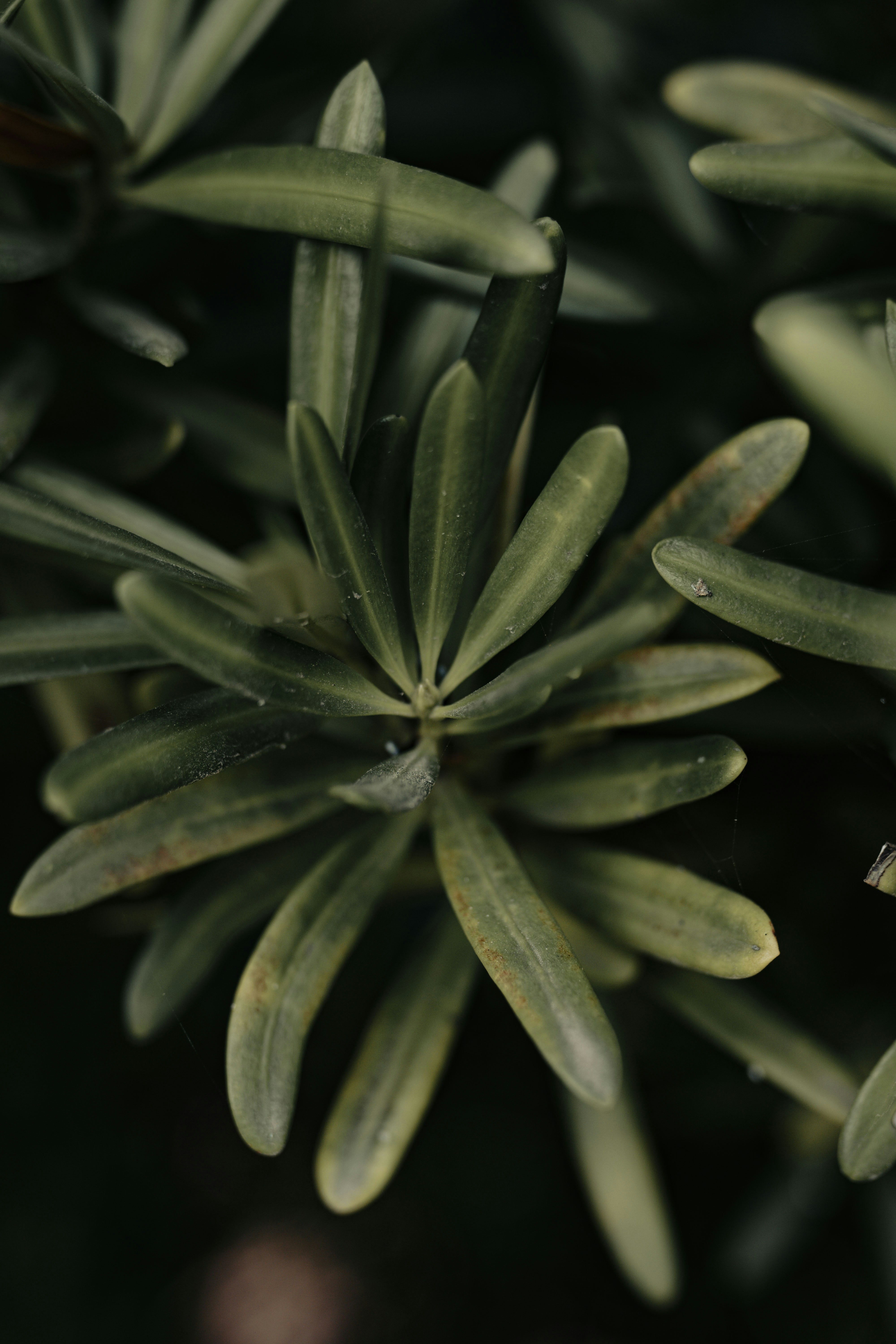 Photo by litochi_graphy