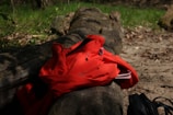 A lightweight jacket folded neatly inside a compact backpack on a forest trail.