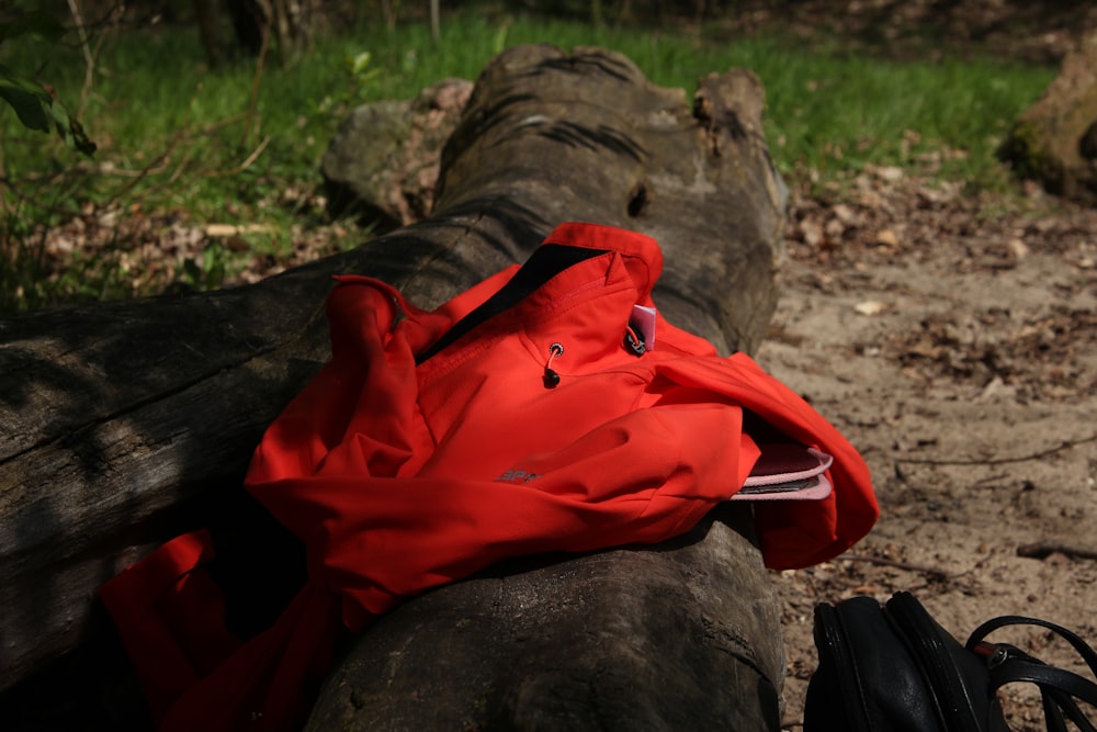 una giacca rossa seduta sopra un tronco