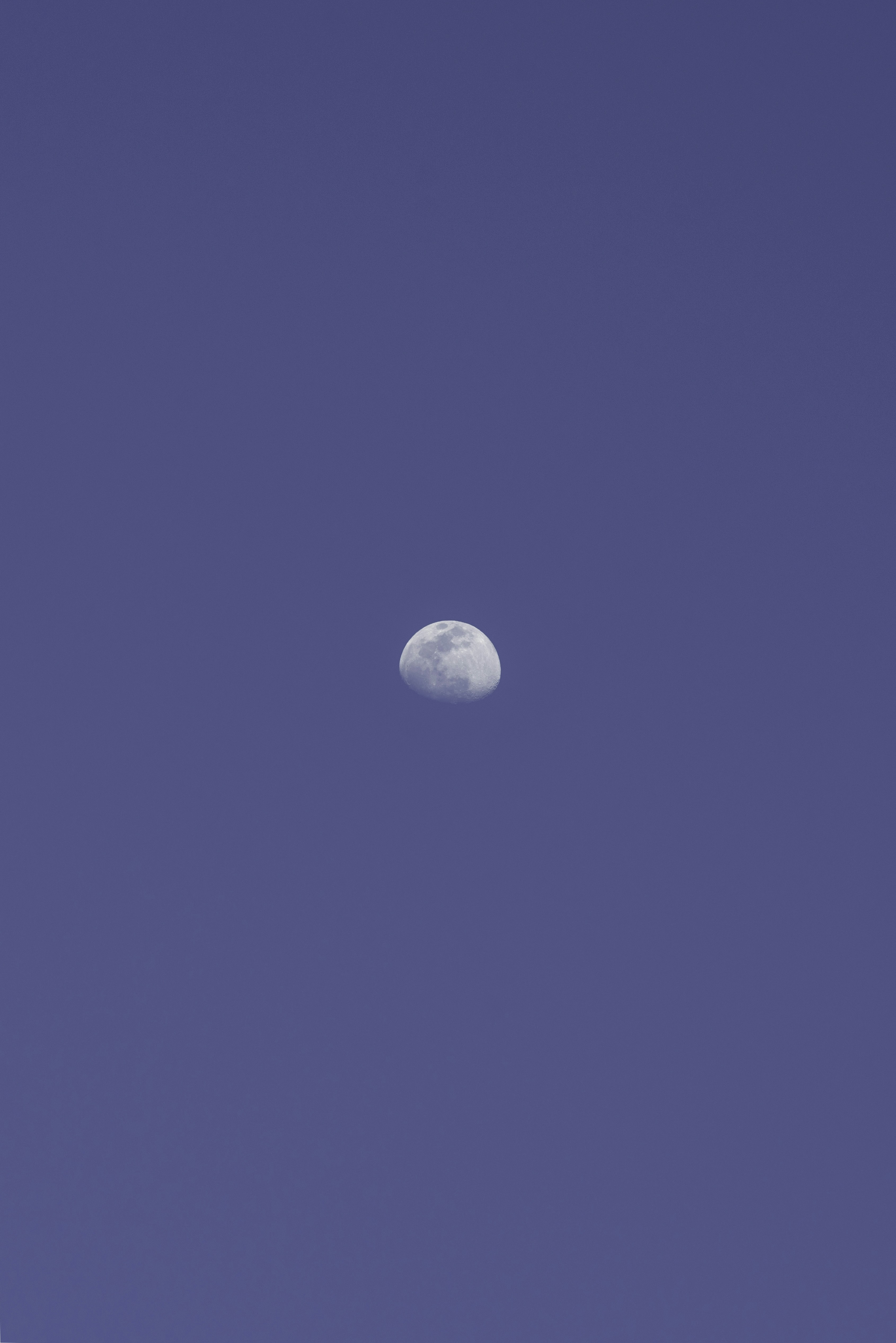 Photo by whiterainforest