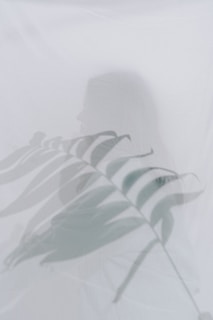 A soft, ethereal image featuring the silhouette of a person partially obscured by a translucent layer. The primary visual element is a large tropical leaf shadow that overlays the figure, creating an artistic blend of nature and human form.