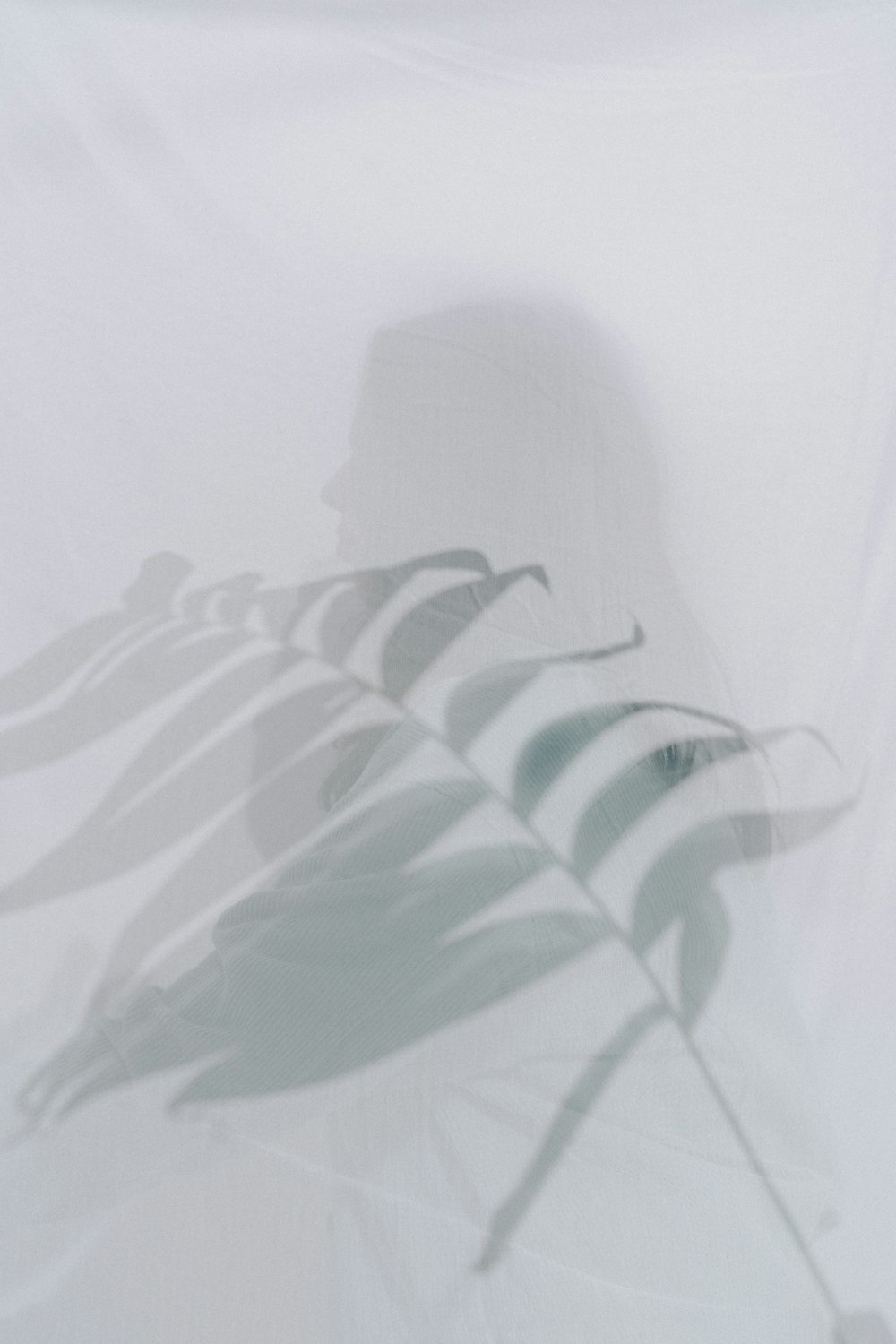 a shadow of a palm leaf on a white sheet