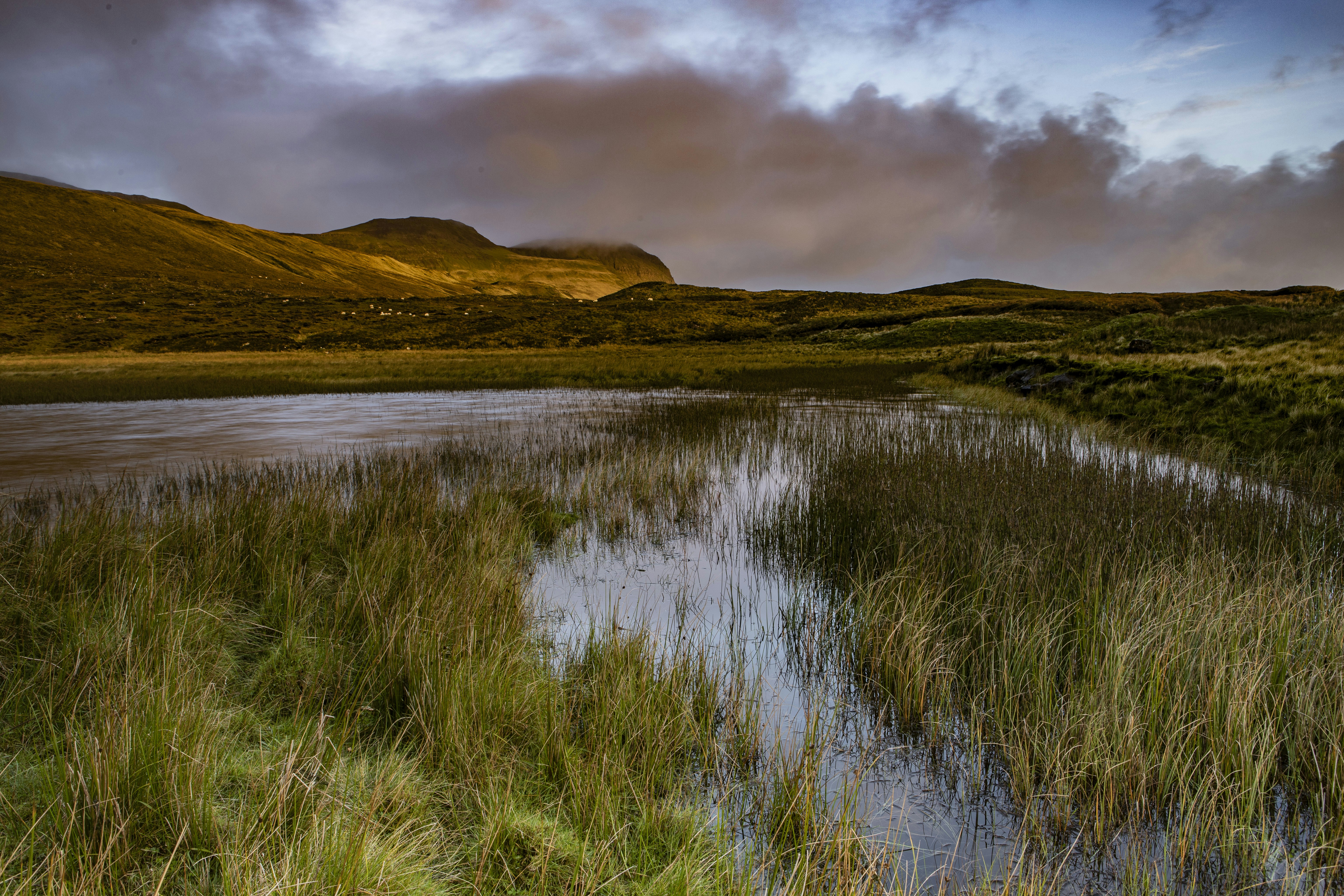 Photo by jddartphotographer