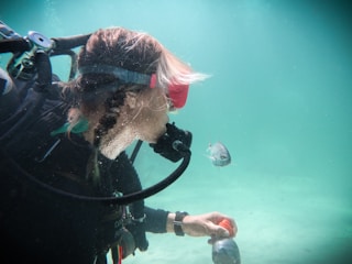 A person is underwater wearing scuba diving gear, including a mask and regulator. They are interacting with a small silver fish that is swimming nearby. The underwater setting looks tranquil with light filtering through clear water.
