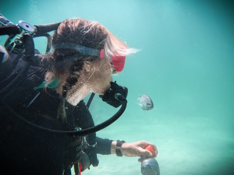A person is underwater wearing scuba diving gear, including a mask and regulator. They are interacting with a small silver fish that is swimming nearby. The underwater setting looks tranquil with light filtering through clear water.