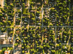 An aerial view of a residential neighborhood revealing a grid of streets lined with houses and abundant greenery. The sun casts long shadows, suggesting either early morning or late afternoon. Trees and lawns provide a lush green contrast to the man-made constructions, indicative of a suburban area.