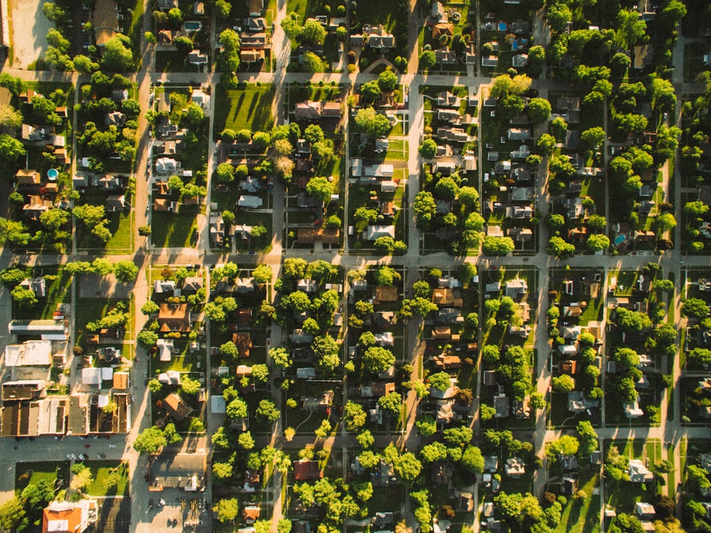 an aerial view of a city with lots of trees