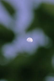 a blurry photo of the moon in the sky