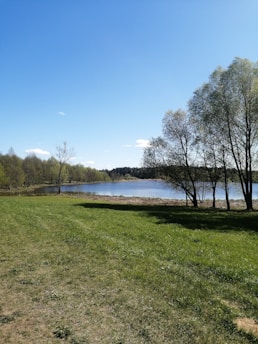 A serene lakeside scene with a clear sky and gentle ripples on the water's surface.