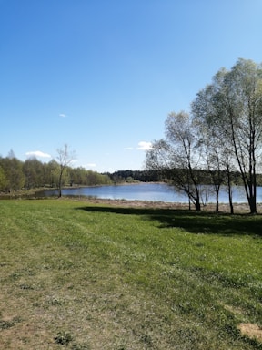 A serene lakeside plot with tall trees and a clear blue sky.