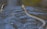 A snake gracefully swims through a calm body of water, creating gentle ripples. The snake's body is long and patterned, with its head held slightly above the water's surface. The water reflects natural surroundings, indicating an outdoor setting.