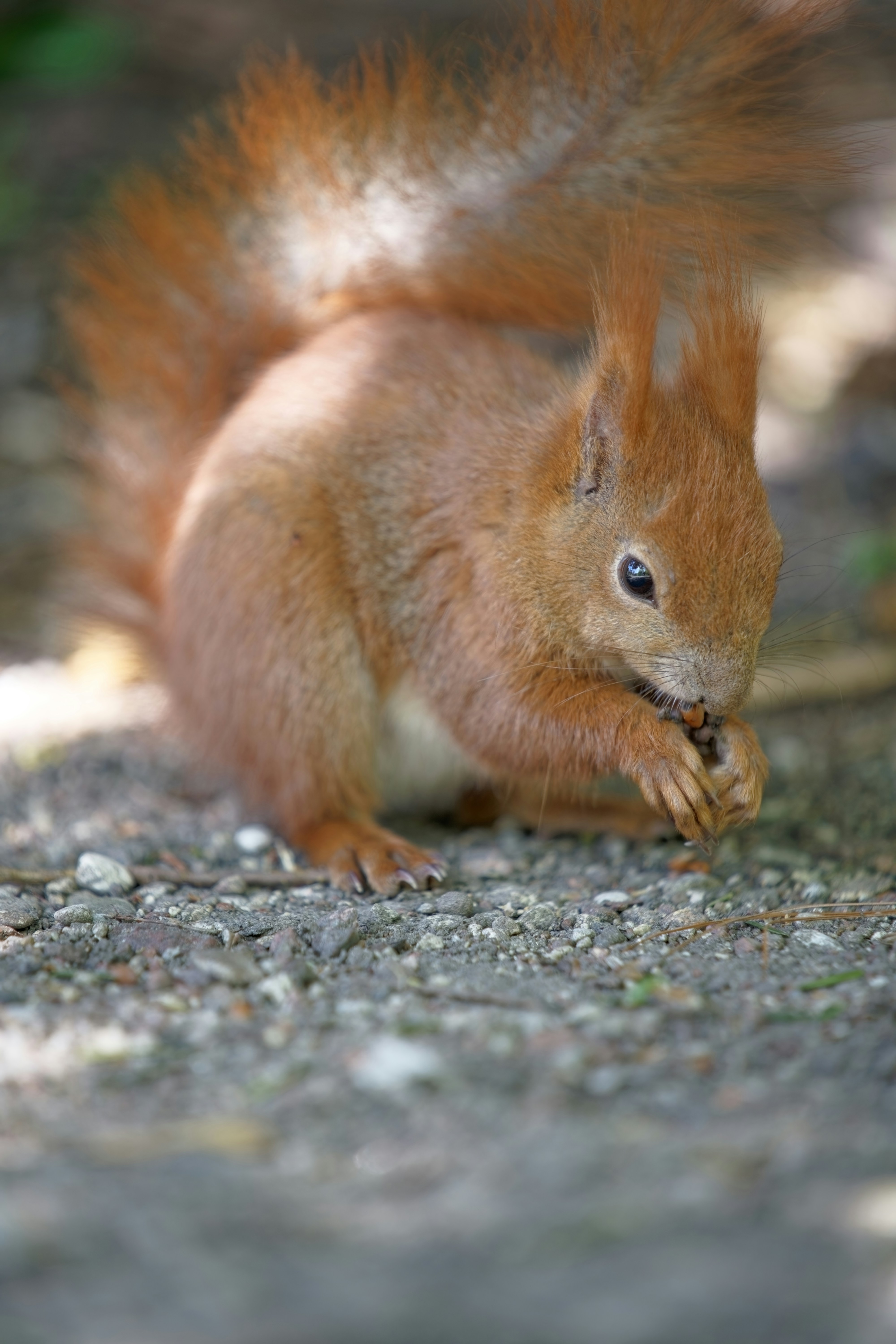 Photo by shyamalliam