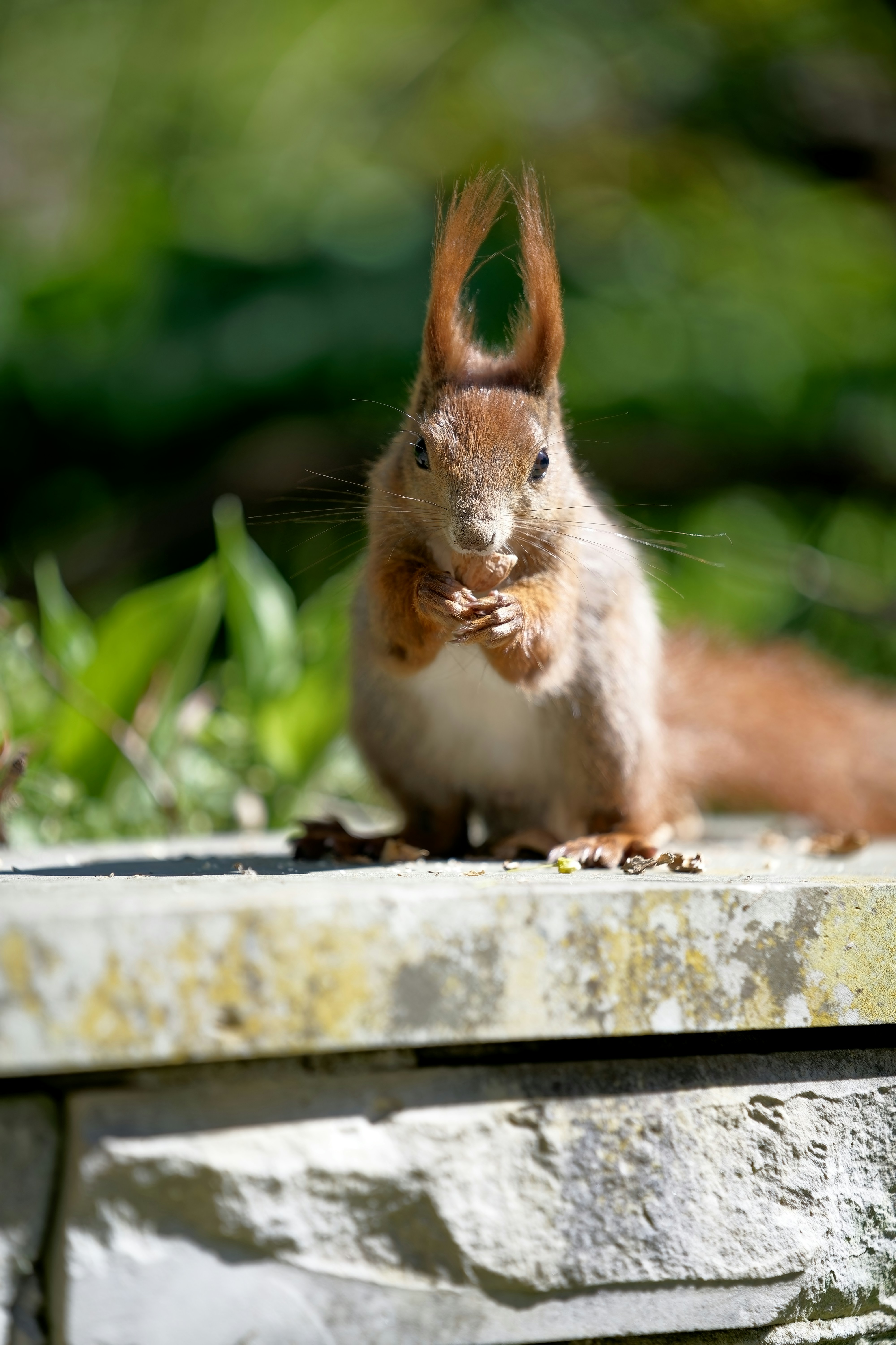 Photo by shyamalliam