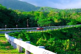 A lush green landscape with a winding road is pictured, surrounded by dense foliage and rolling hills in the background. A red car is traveling along the road which is bordered by a white guardrail. The scene is bathed in sunlight, creating a vibrant and serene atmosphere.