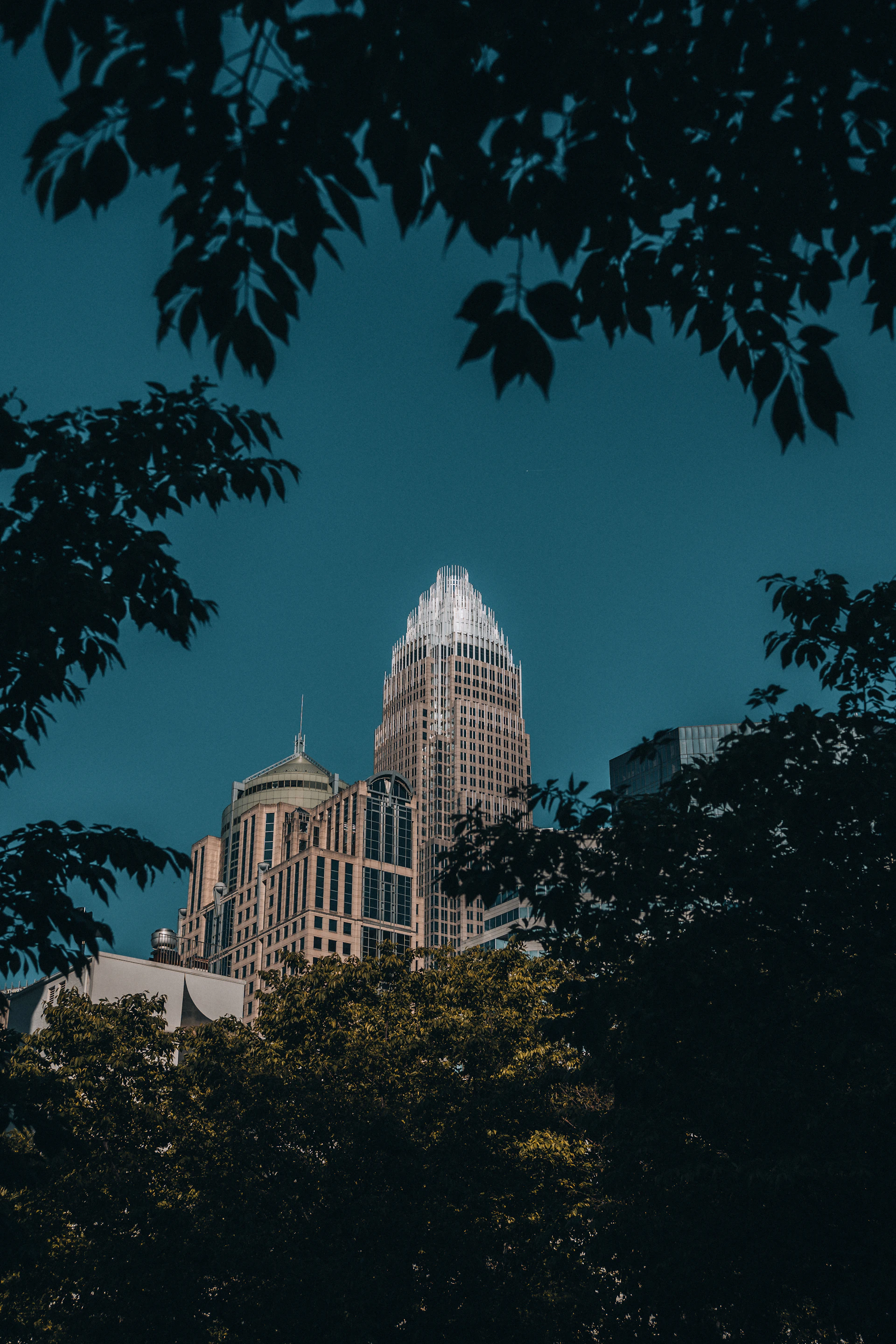 a view of a building through some trees
