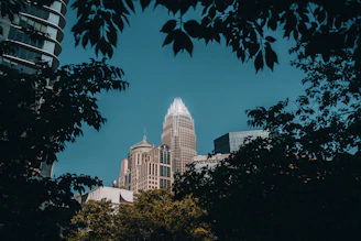 a view of a building through some trees