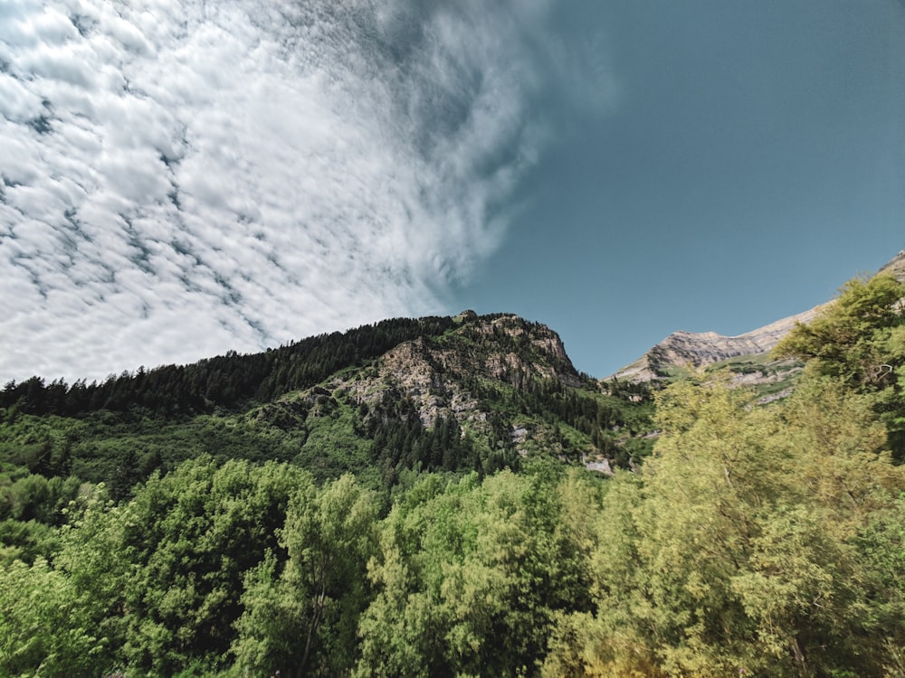 a view of a mountain with trees and clouds in the sky