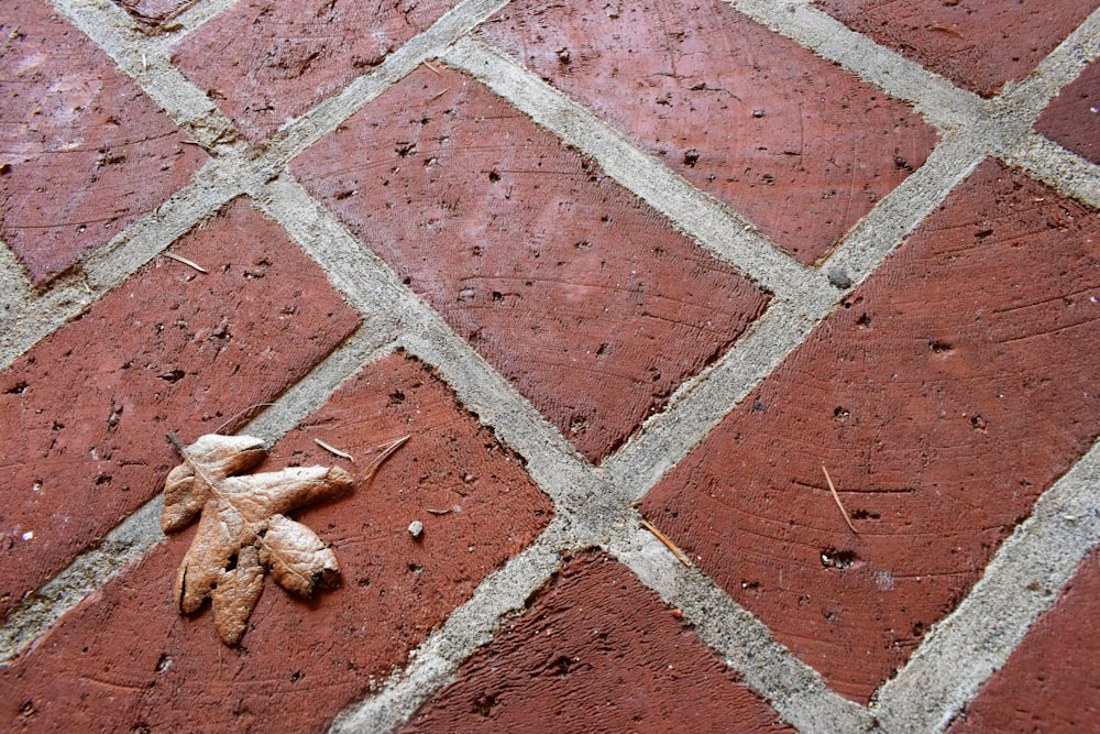 a teddy bear laying on a brick floor