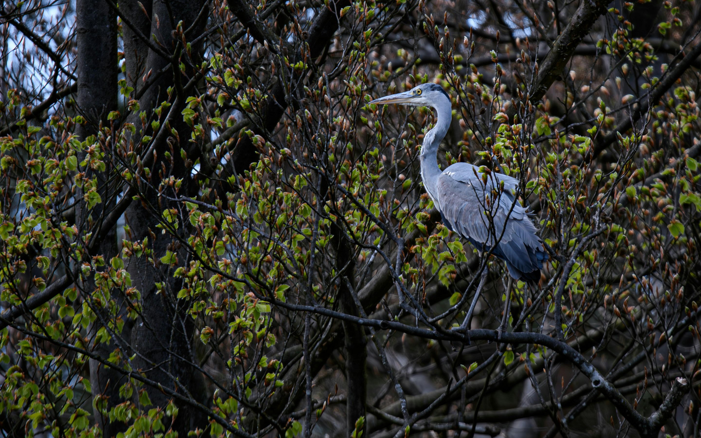 Photo by robtol